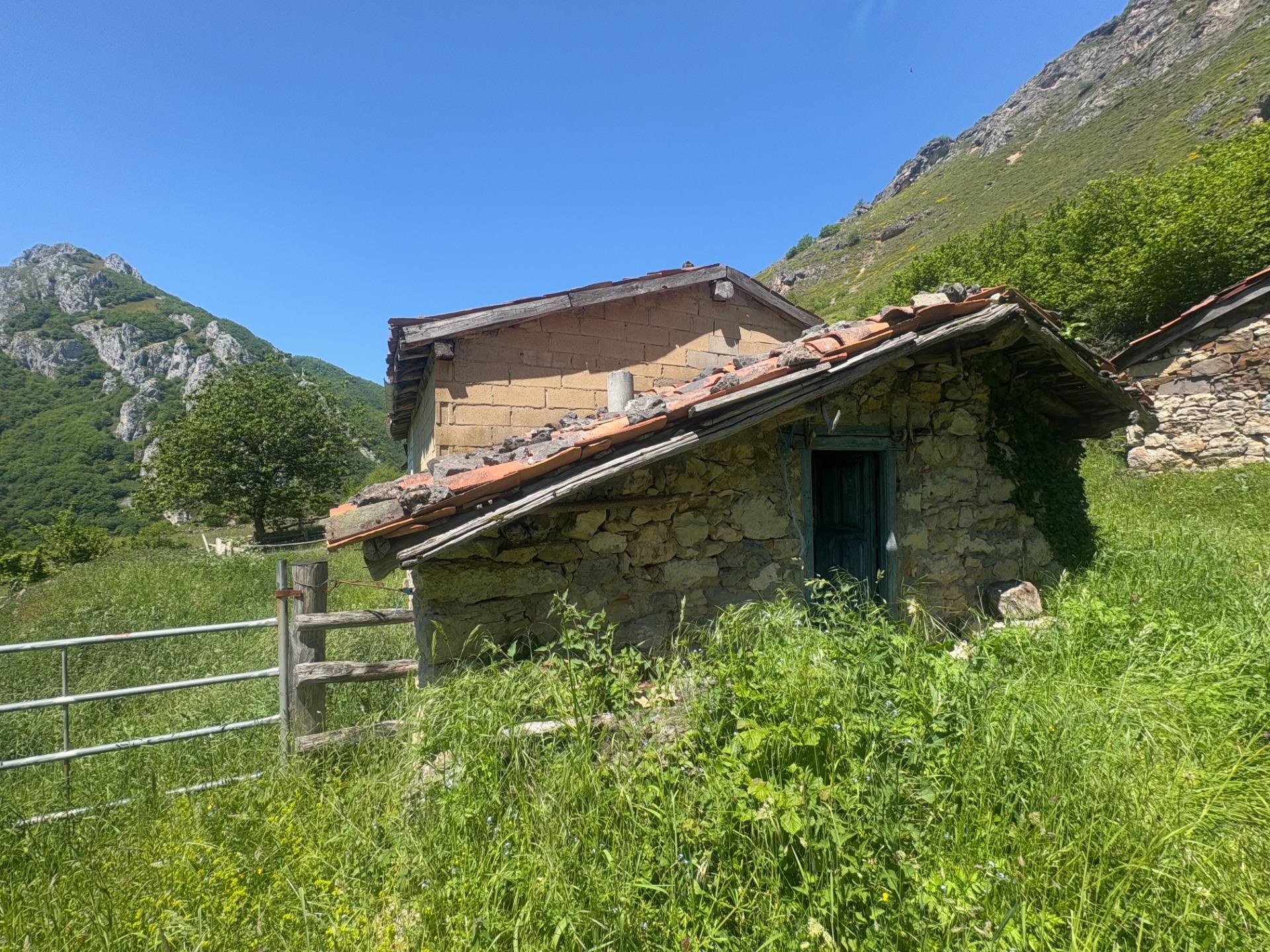 DOS CUADRAS, UNA CABAÑA Y FINCA EN CUEVAS, CON AGUA DE MANAN - foto 3