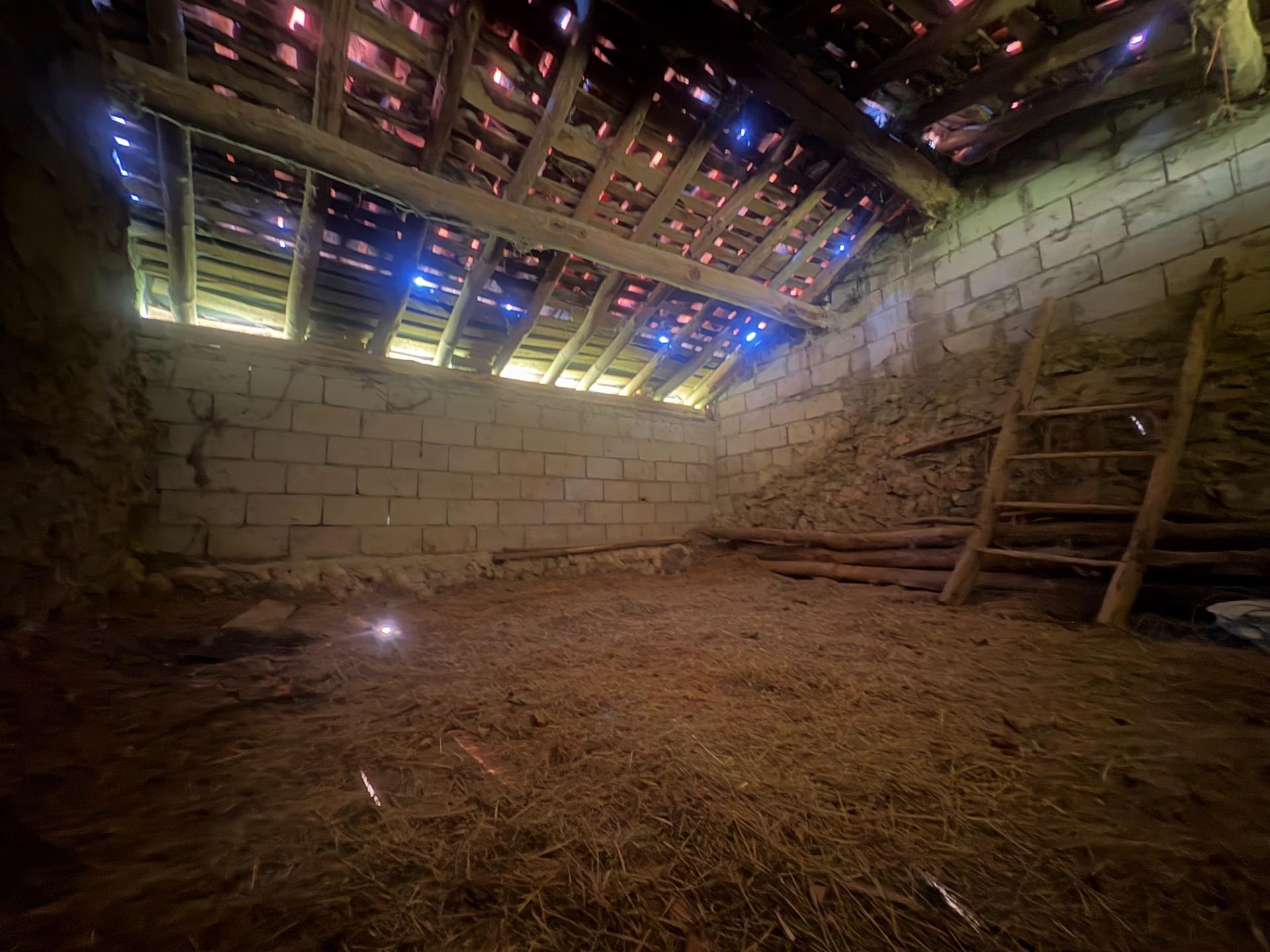 DOS CUADRAS, UNA CABAÑA Y FINCA EN CUEVAS, CON AGUA DE MANAN - foto 20