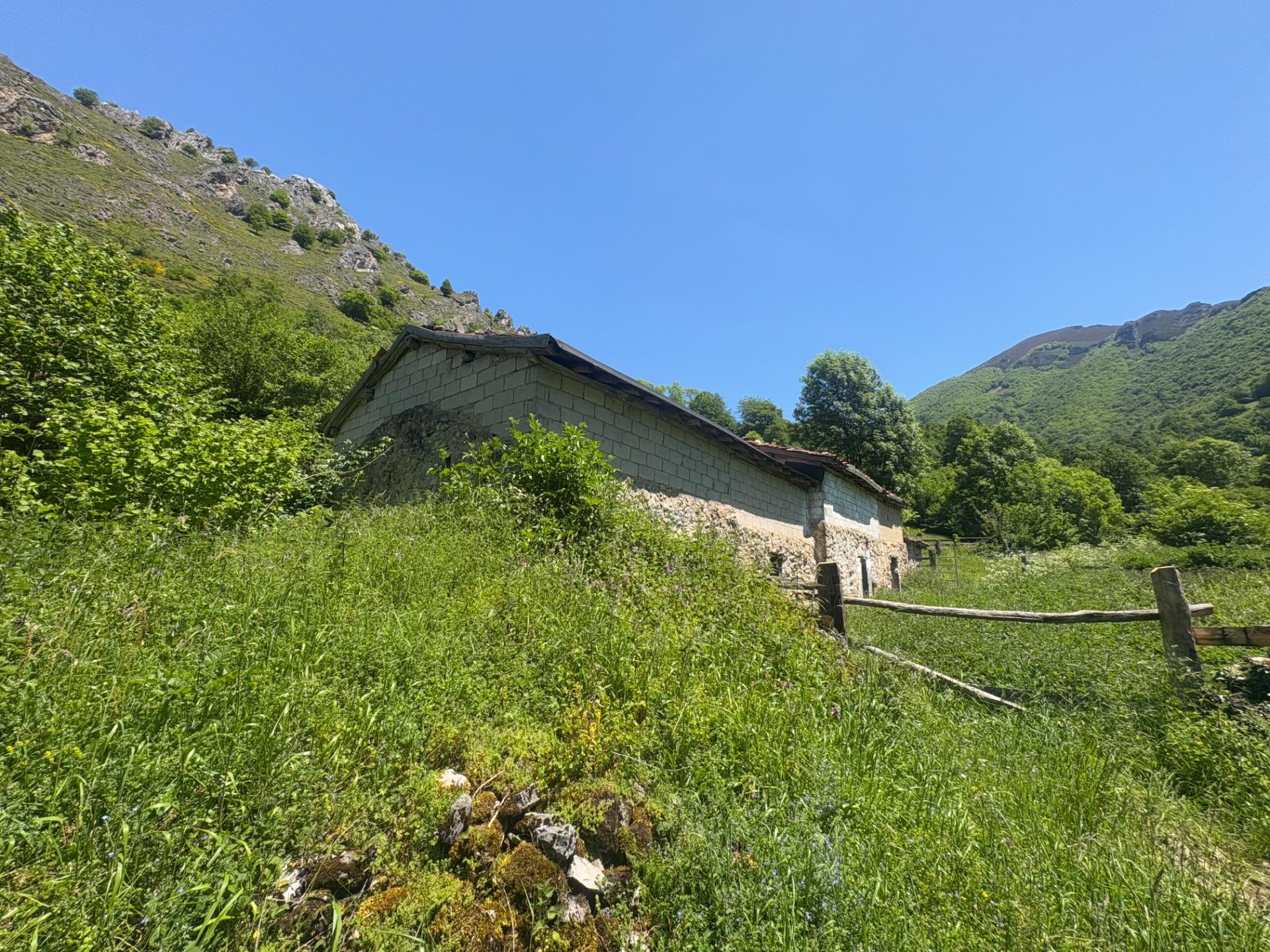 DOS CUADRAS, UNA CABAÑA Y FINCA EN CUEVAS, CON AGUA DE MANAN - foto 23