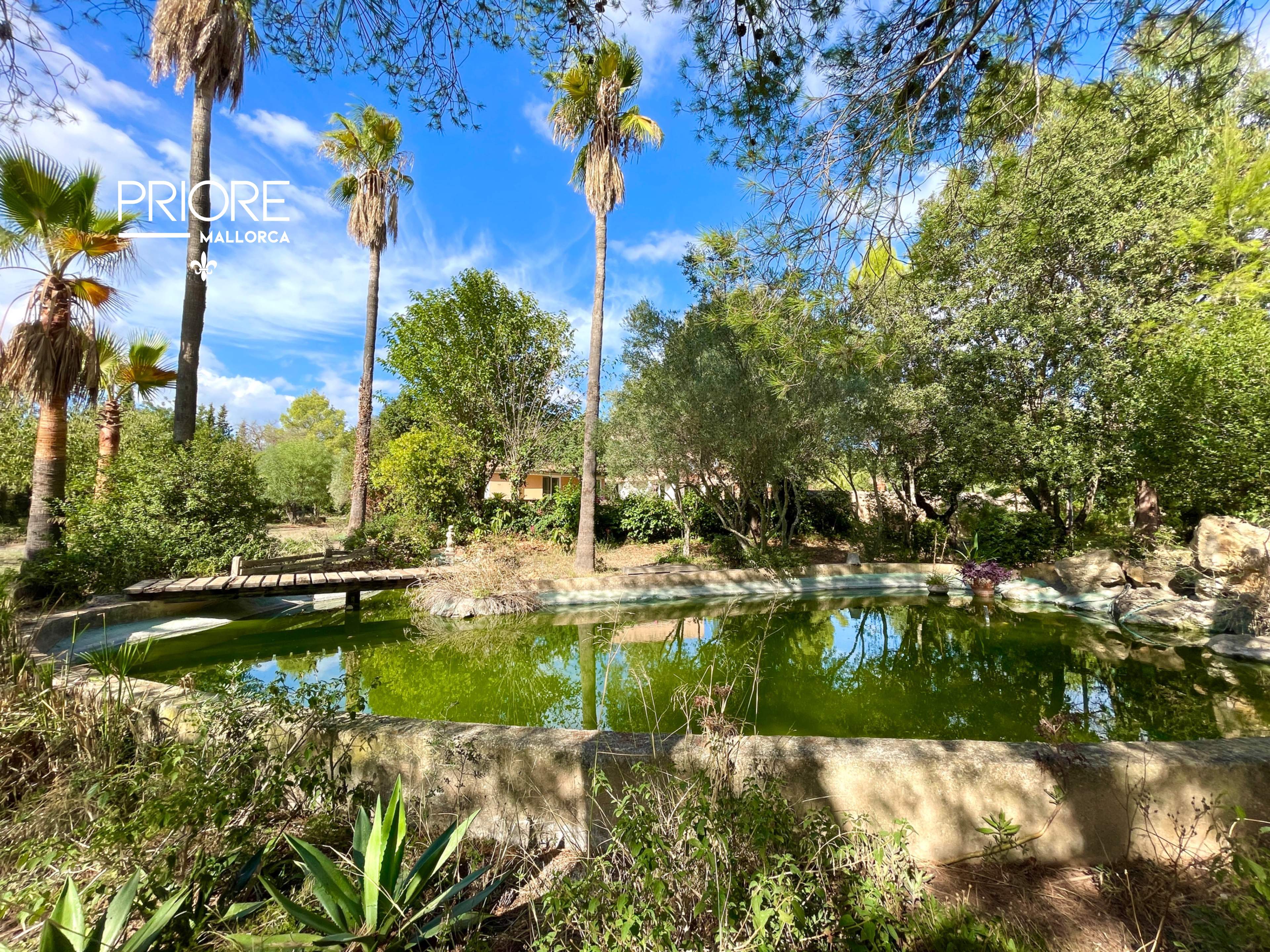 Espaciosa Villa con pista de tenis y piscina privada - foto 31