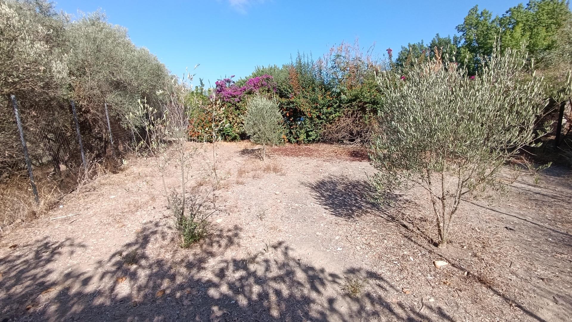 PRECIO NEGOCIABLE! ADQUIERA UNA PARCELA CON VIVIENDA Y NEGOC - foto 43