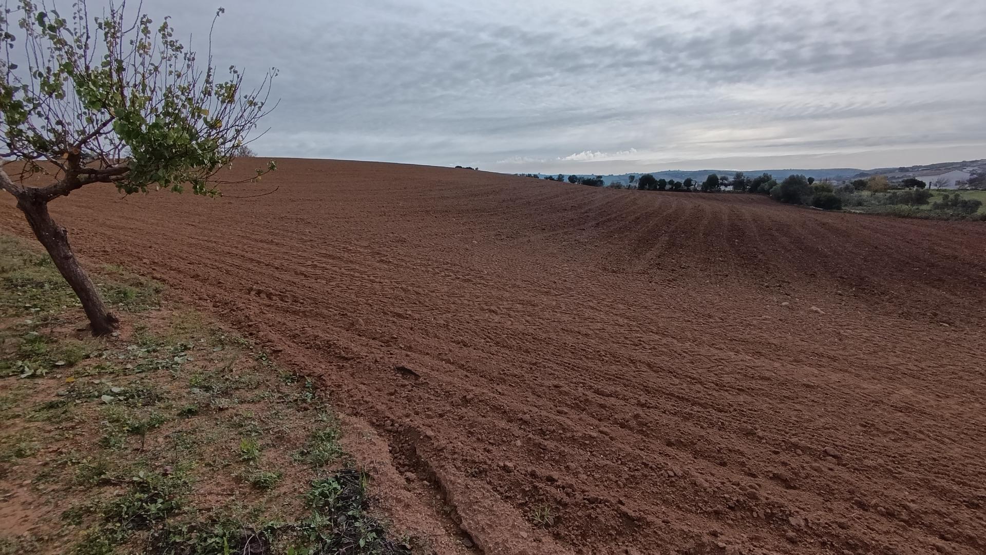 PRECIOSA FINCA MUY PRÓXIMA A ARCOS - foto 10