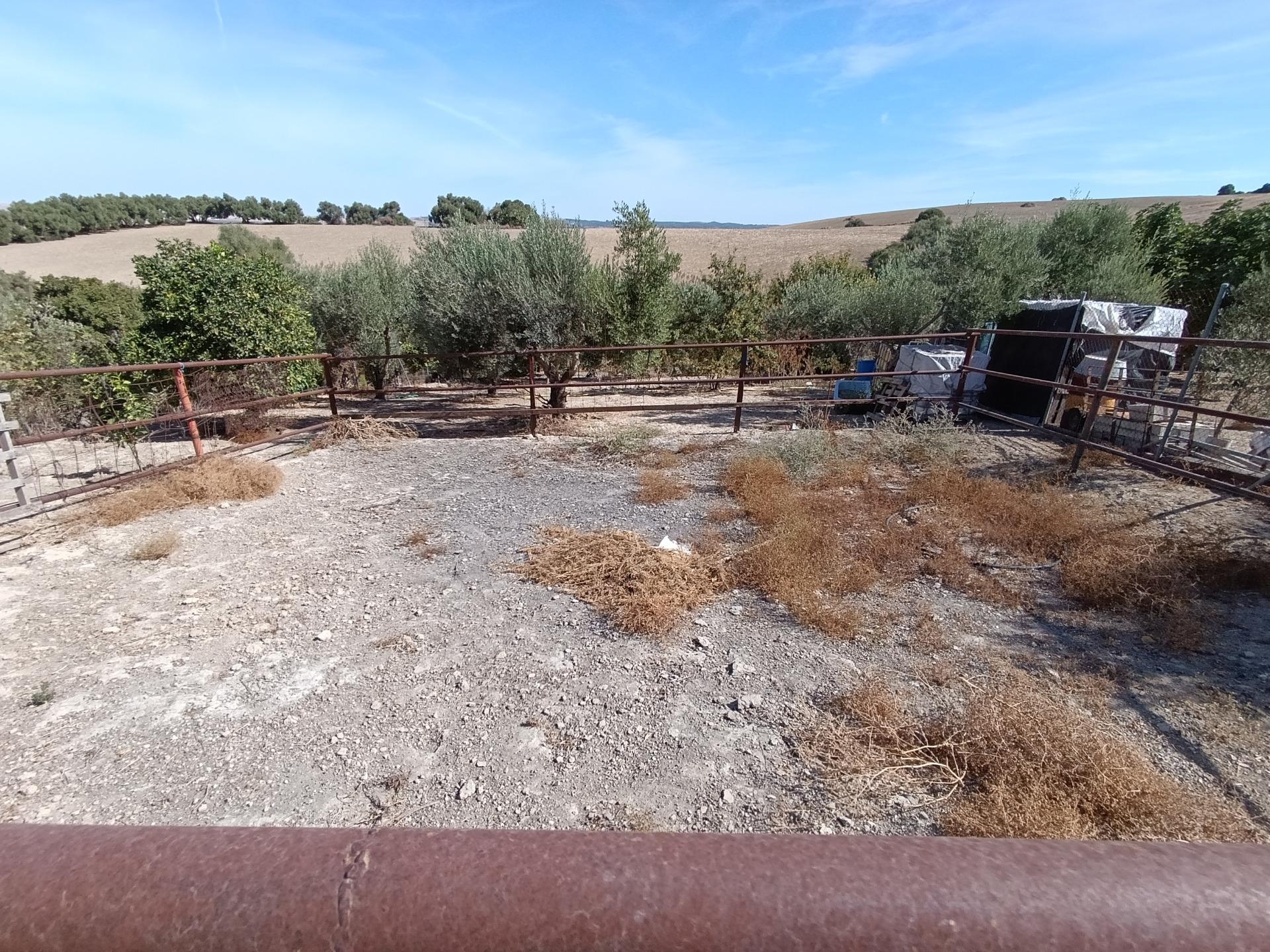 SE VENDE PARCELA EN JADRAMIL – PROINDIVISO DE 2.046 m2 - foto 8