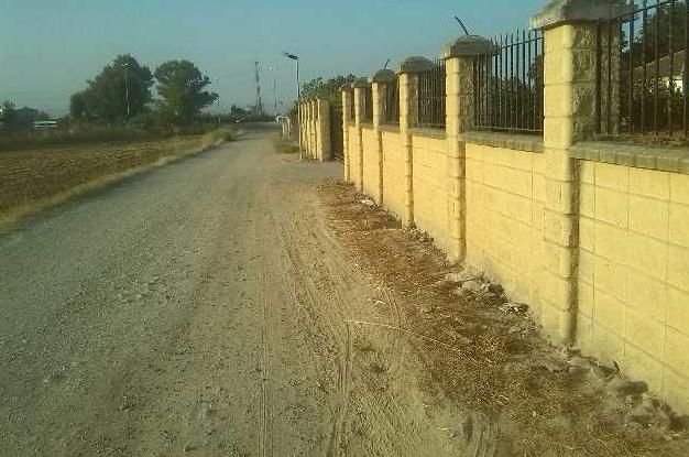 NAVE INDUSTRIAL EN CARRETERA DE PALMA DEL RIO - foto 3