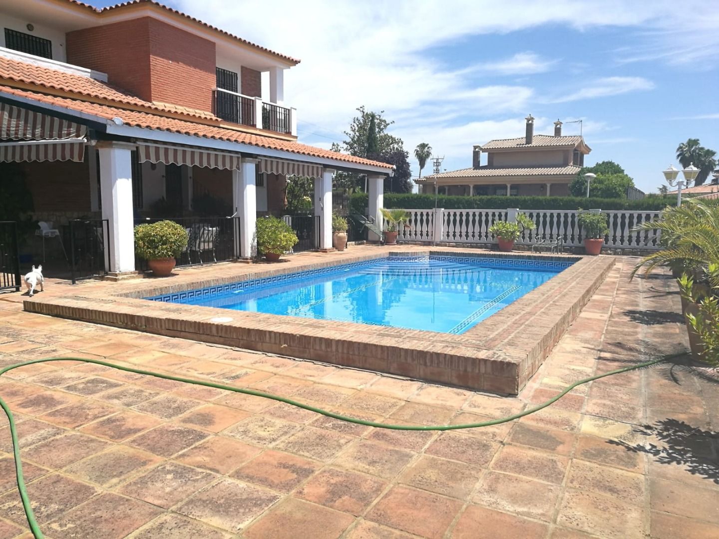 ✨ Chalet independiente en venta en Brillante–Sansueña ✨