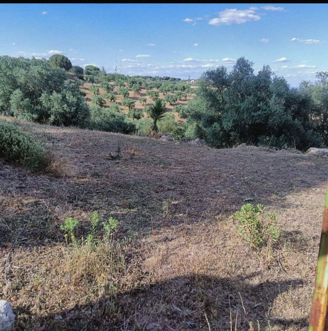 Oportunidad de adquirir un terreno en la zona de ASSUAN! Par - foto 3