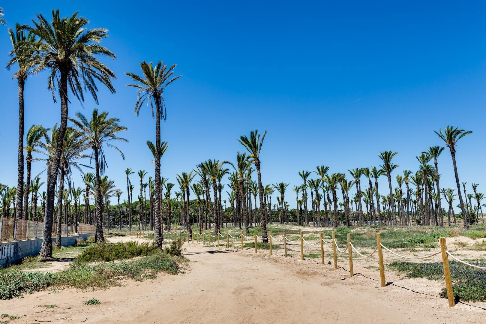 CHALET DE 4 DORMITORIOS 2 BAÑOS EN  ORIHUELA COSTA ( LA ZENI - foto 29