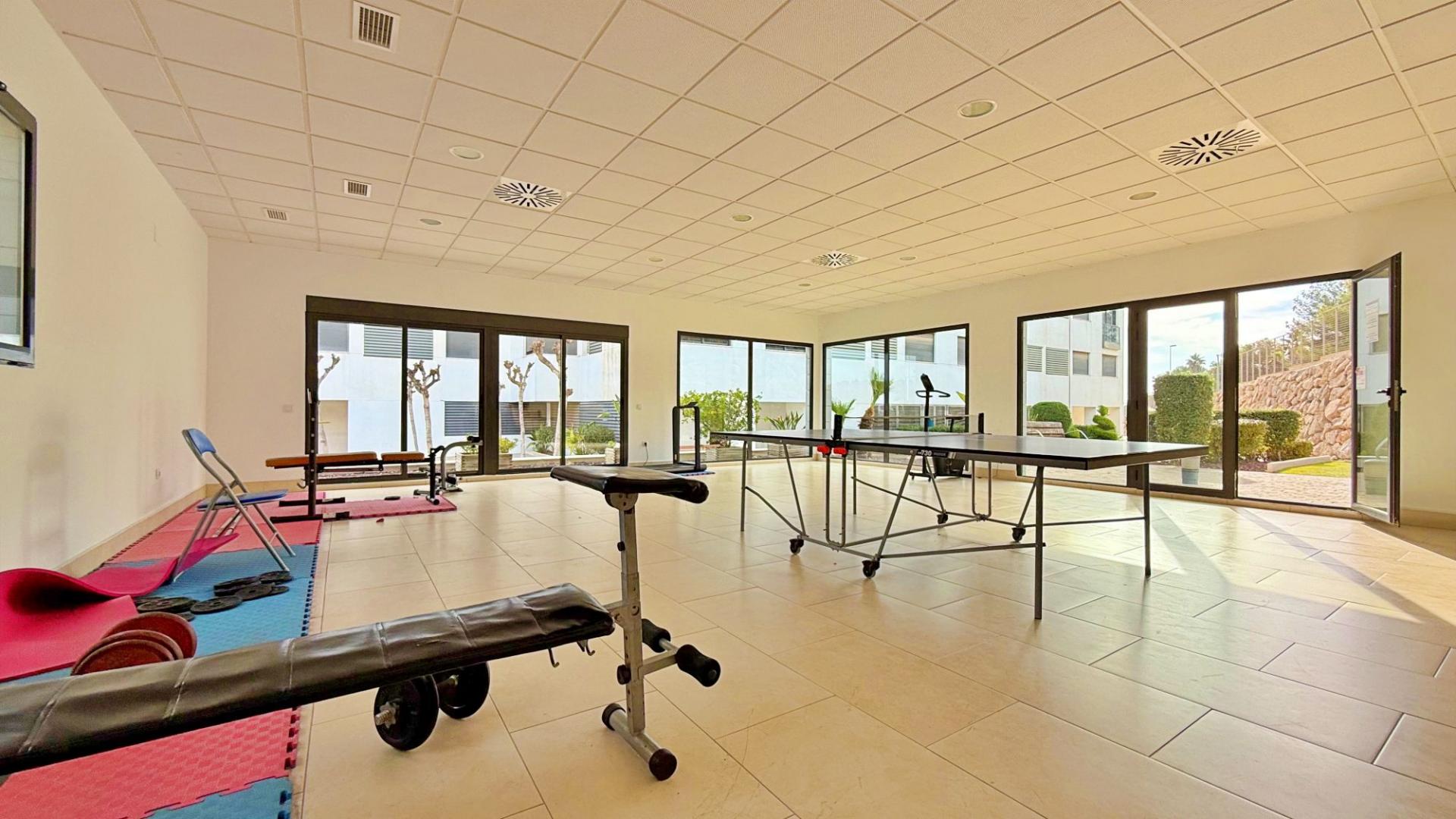 ÁTICO DE 2 DORMITORIOS 2 BAÑOS EN LOMAS DE CAMPOAMOR ( ORIHU - foto 32