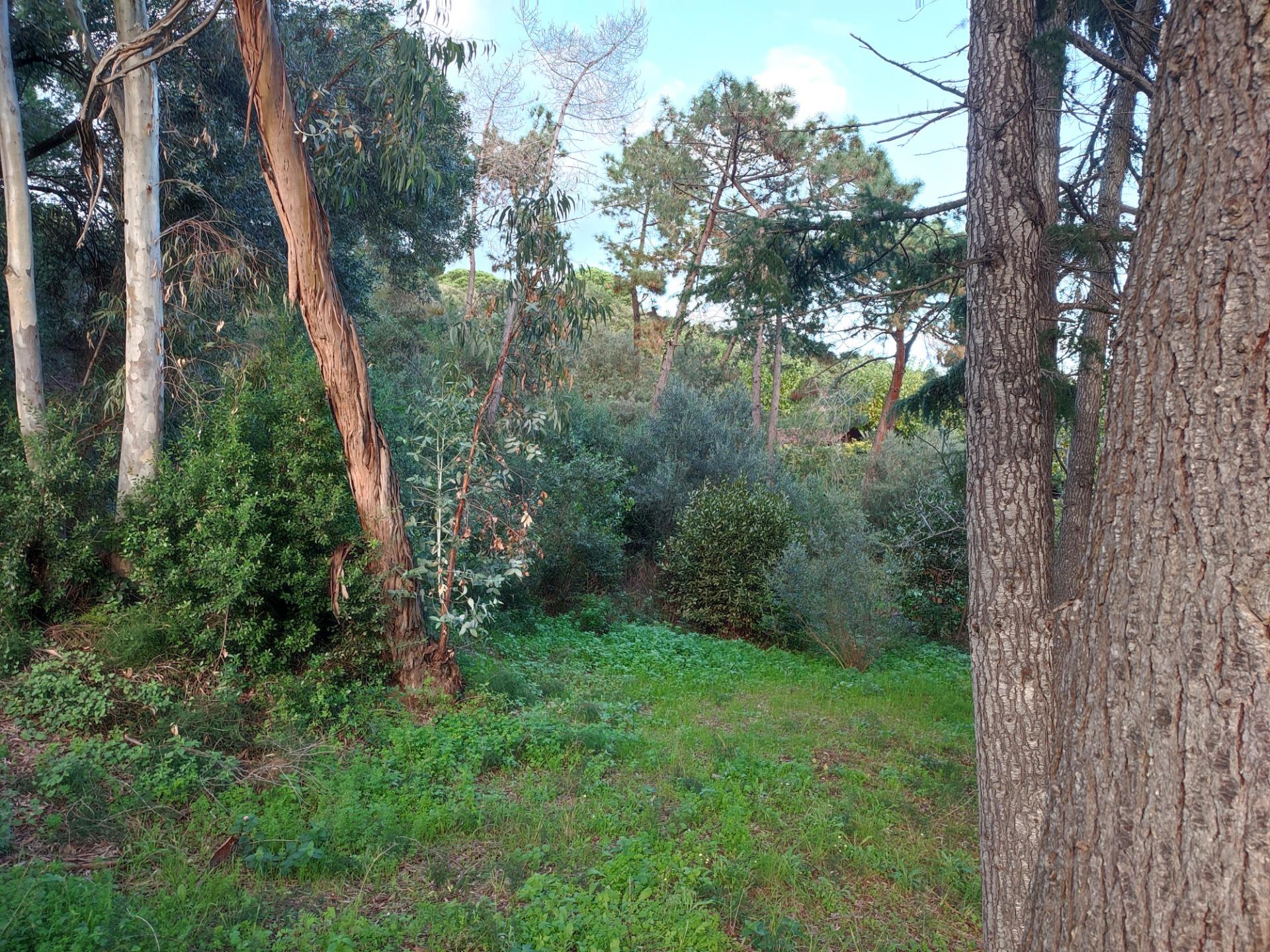 Se vende finca con doze apartamentos a 80 metros de la playa - foto 4