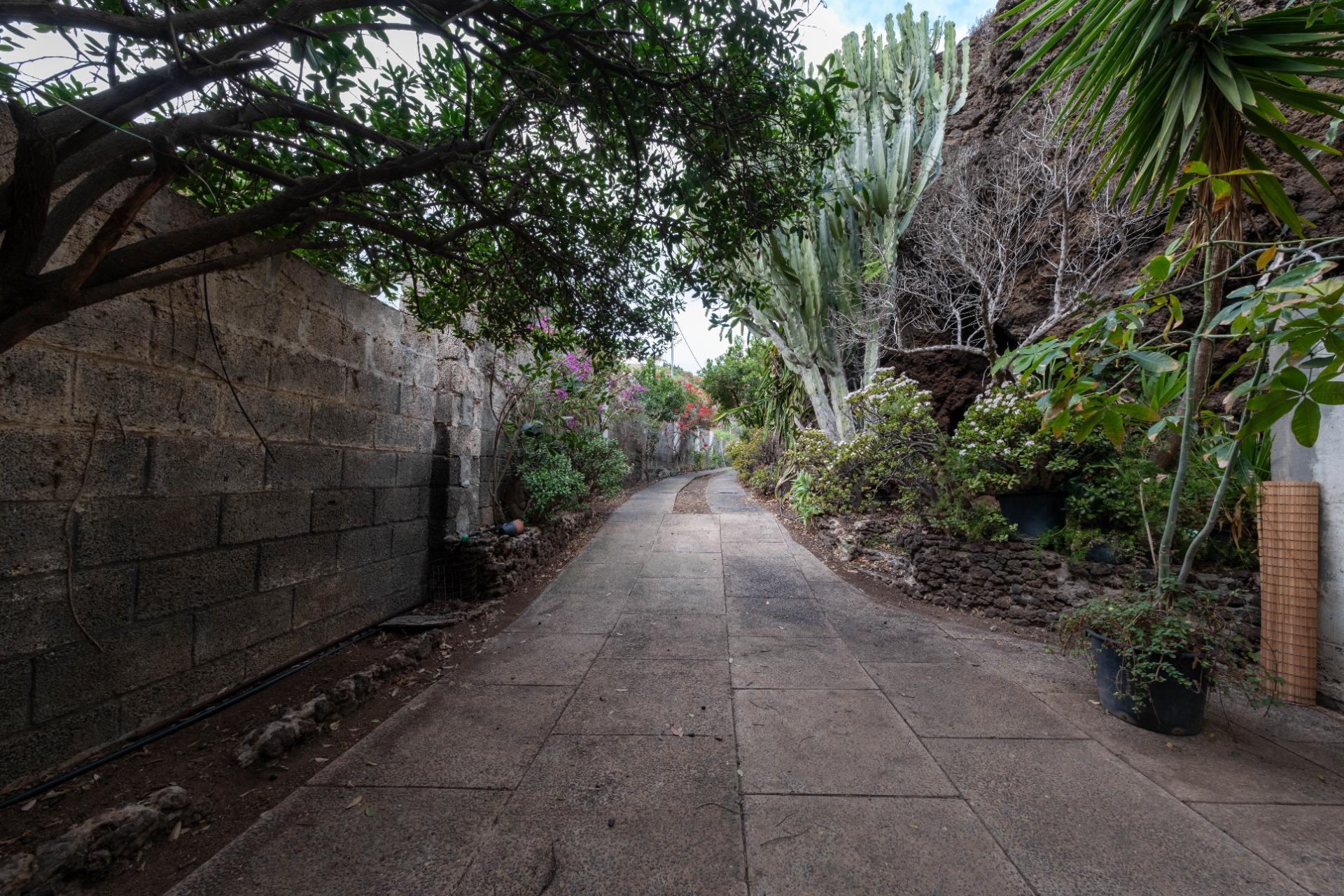 CHALET UNIFAMILIAR CON TERRENO EN  MAIPEZ GUINIGUADA - foto 8