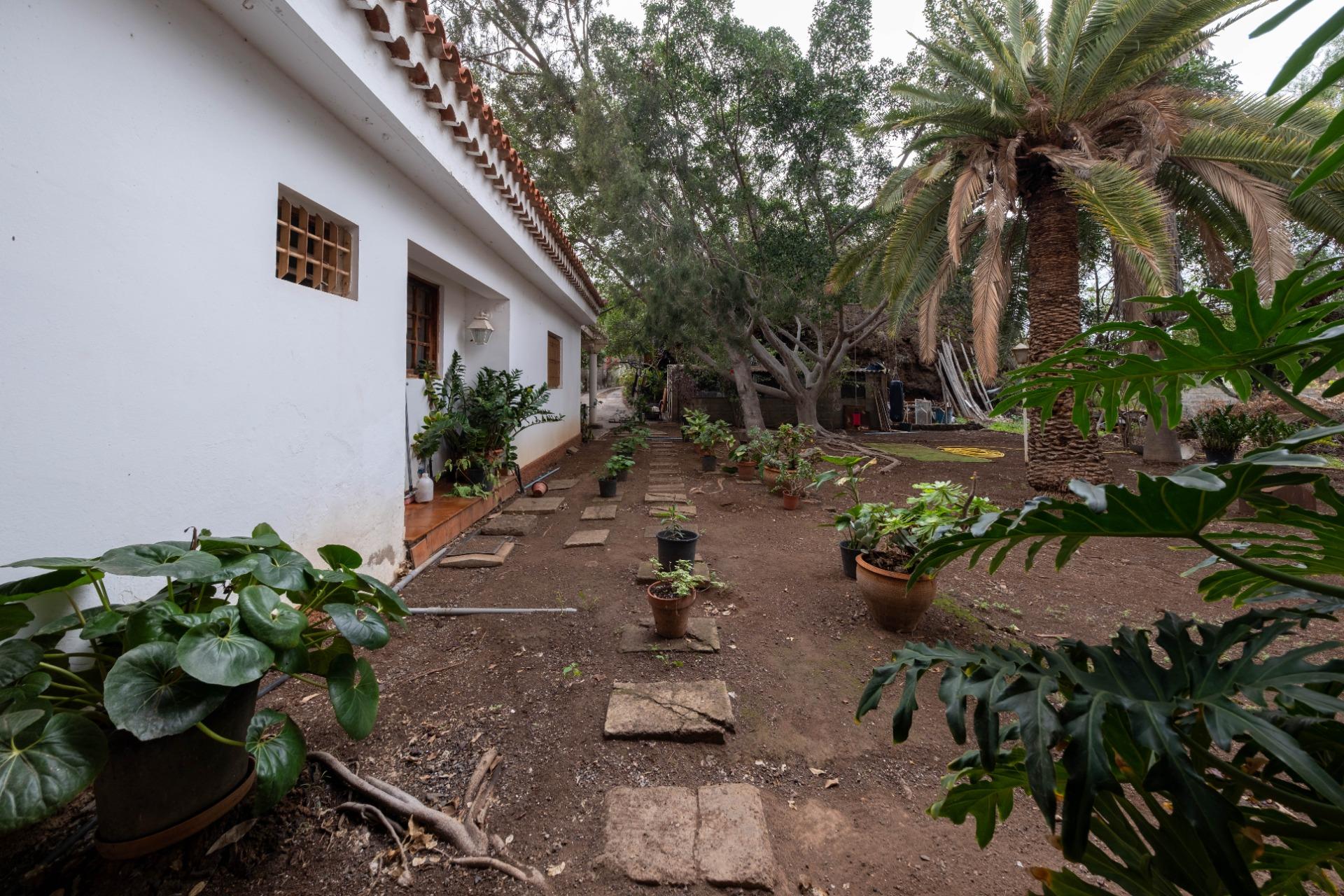 CHALET UNIFAMILIAR CON TERRENO EN  MAIPEZ GUINIGUADA - foto 10