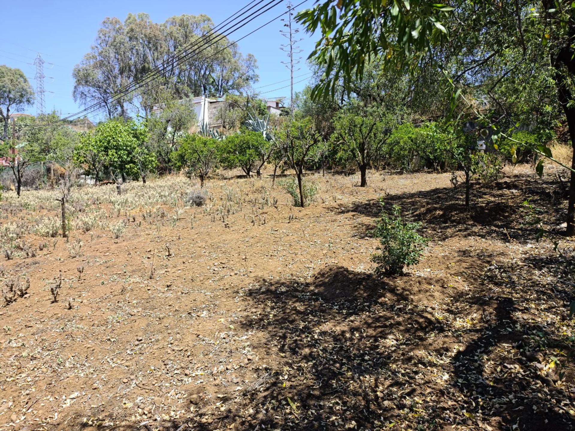 Venta de Terreno rústica en San Mateo - foto 13