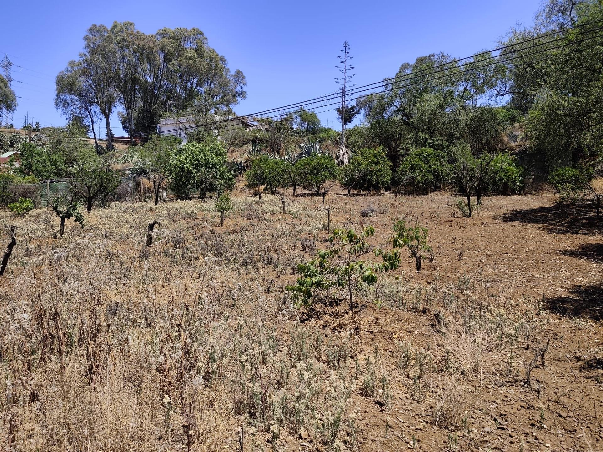 Venta de Terreno rústica en San Mateo - foto 14