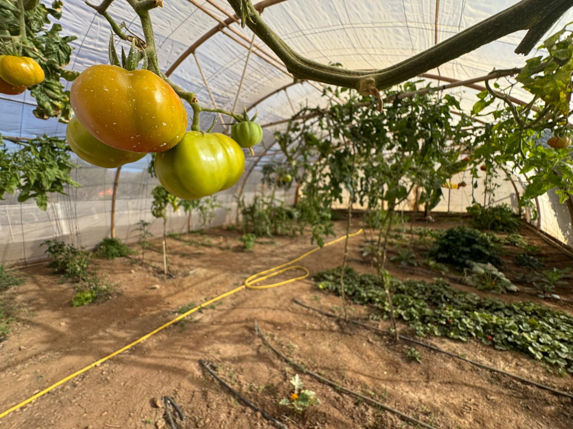 VENTA CHALET UNIFAMILIAR EN TUINEJE - foto 34