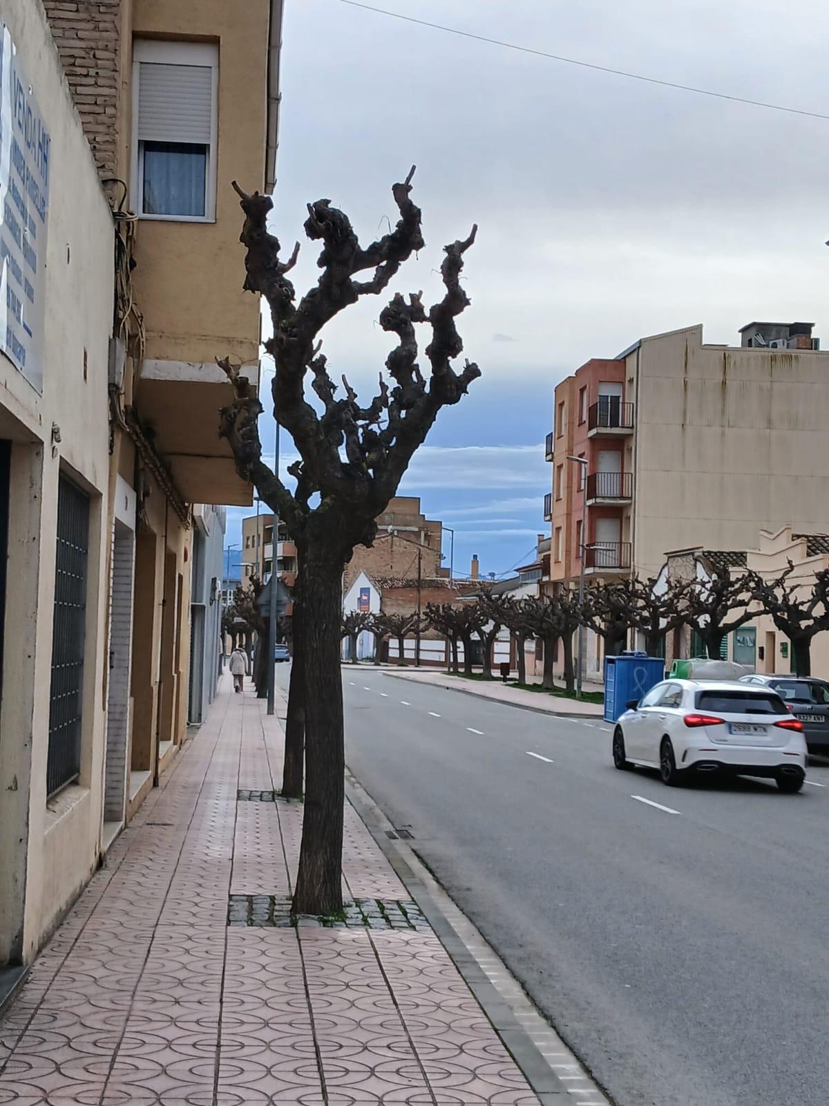 Vivienda ideal tanto para inversión como para vivir - foto 3