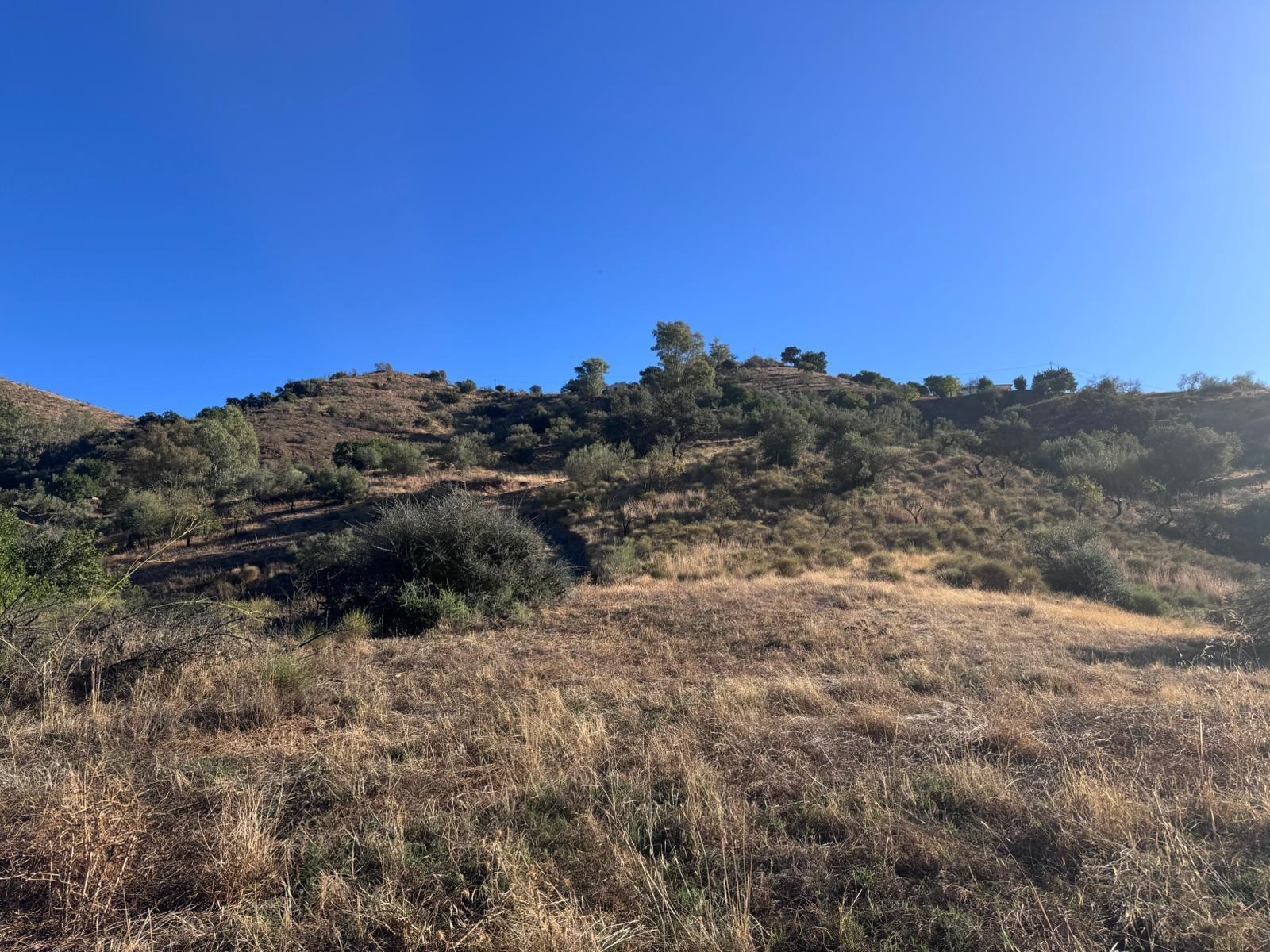 Finca Rústica 24.000m en Riogordo - foto 7