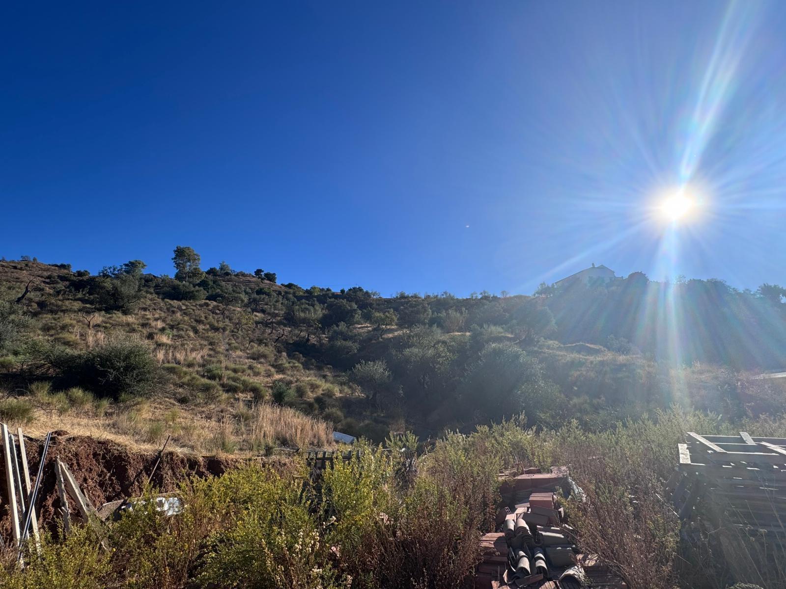 Finca Rústica 24.000m en Riogordo - foto 10