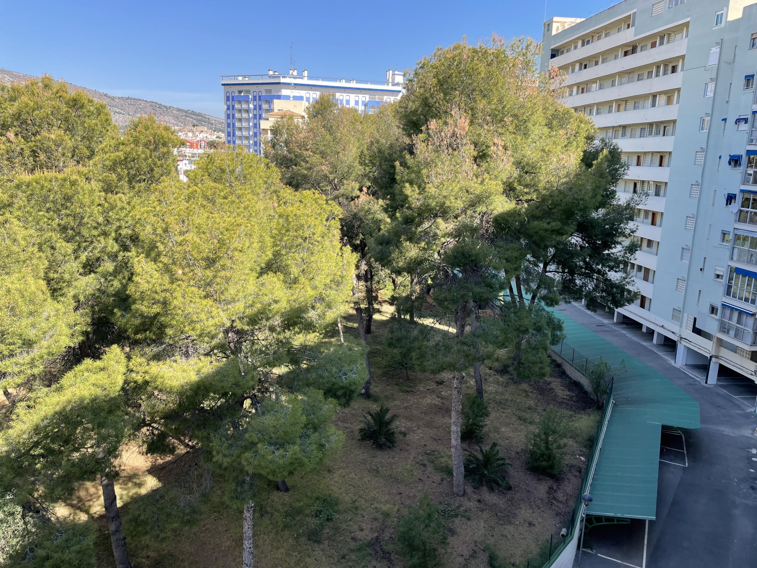 Vistas VIP en playa la concha OROPESA DEL MAR - foto 13