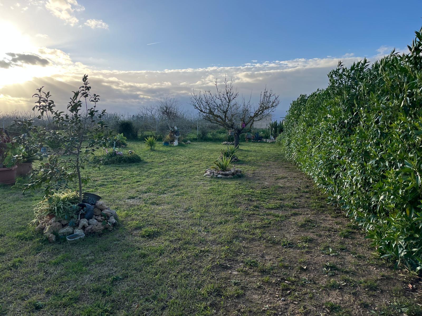 Encantadora Finca Rústica en Muro - ¡Tu Refugio Natural Espe - foto 8