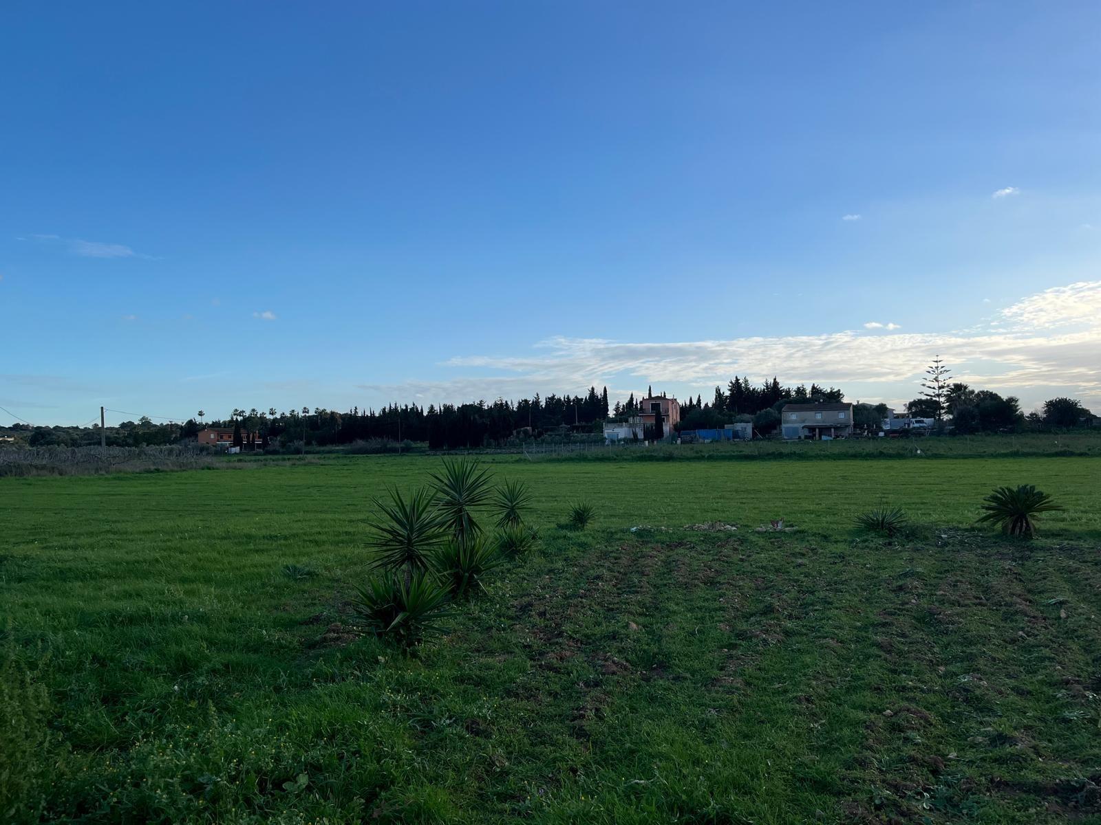 Encantadora Finca Rústica en Muro - ¡Tu Refugio Natural Espe - foto 19
