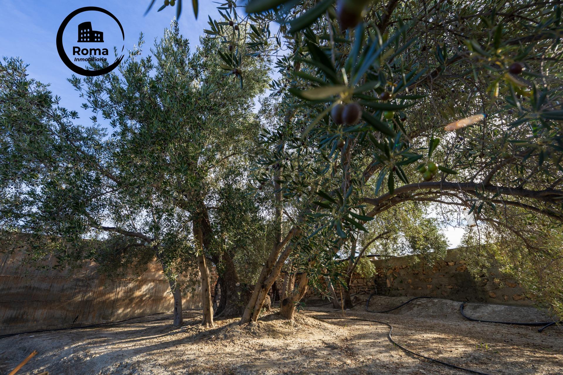 ¡Oportunidad única! Dos Fincas rústicas de mas de 15.000 m2  - foto 14