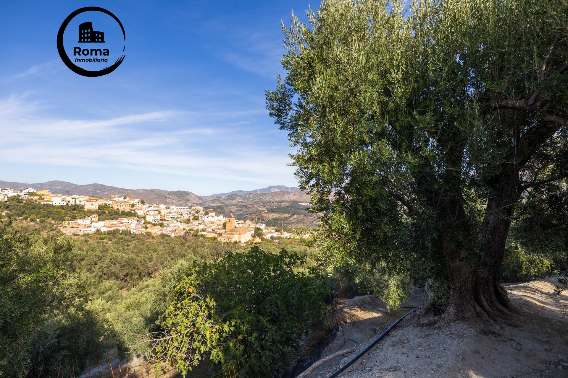 ¡Oportunidad única! Dos Fincas rústicas de mas de 15.000 m2  - foto 24