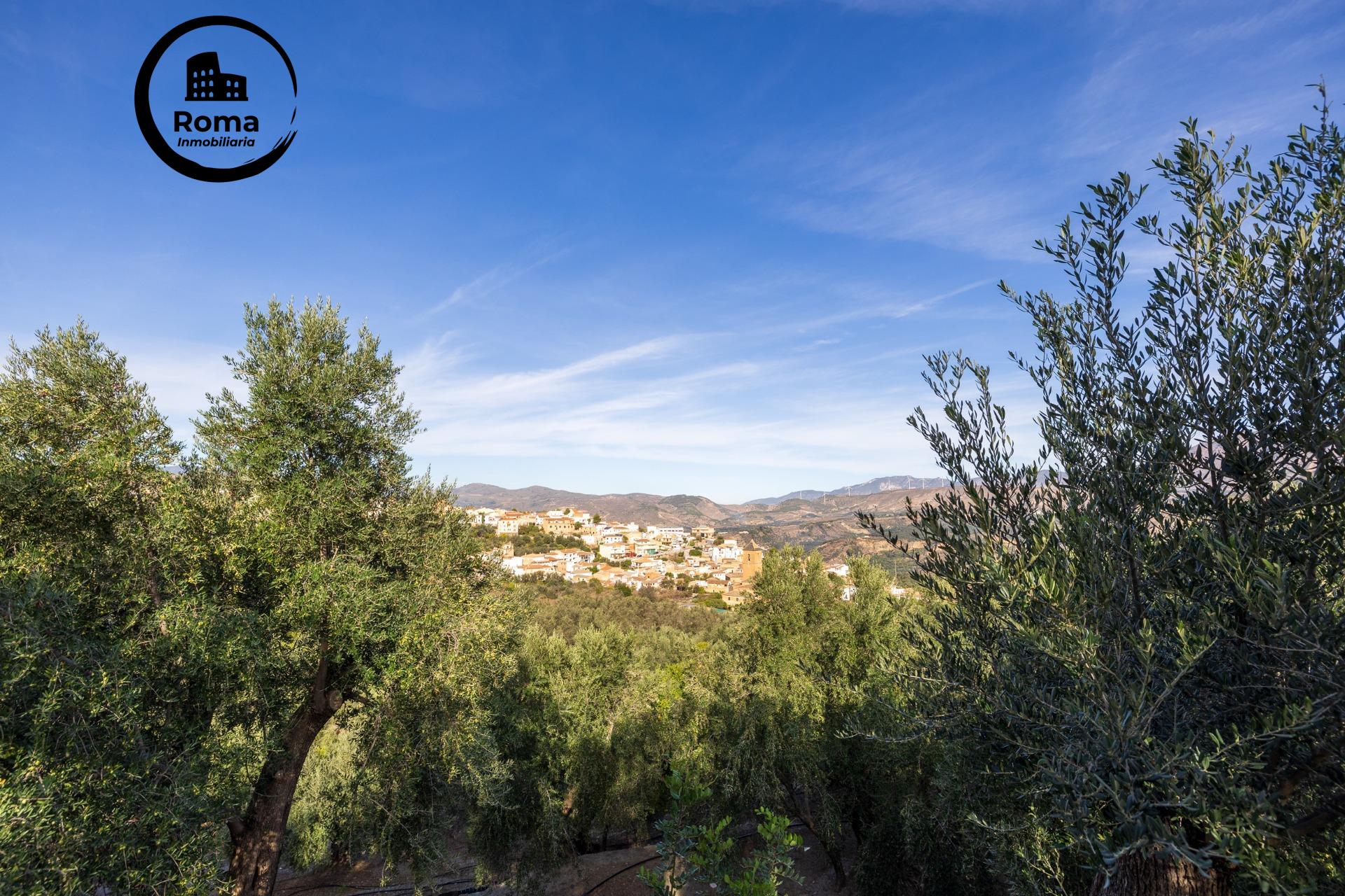 ¡Oportunidad única! Dos Fincas rústicas de mas de 15.000 m2  - foto 26