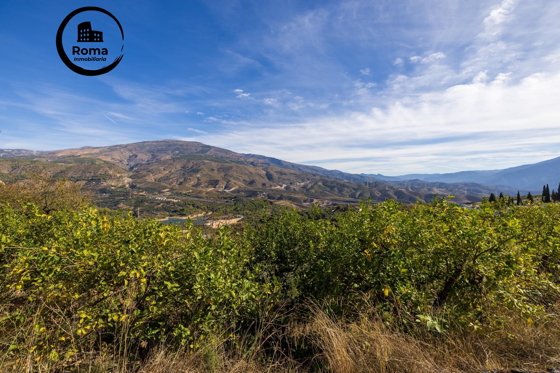 ¡Oportunidad única! Dos Fincas rústicas de mas de 15.000 m2  - foto 46