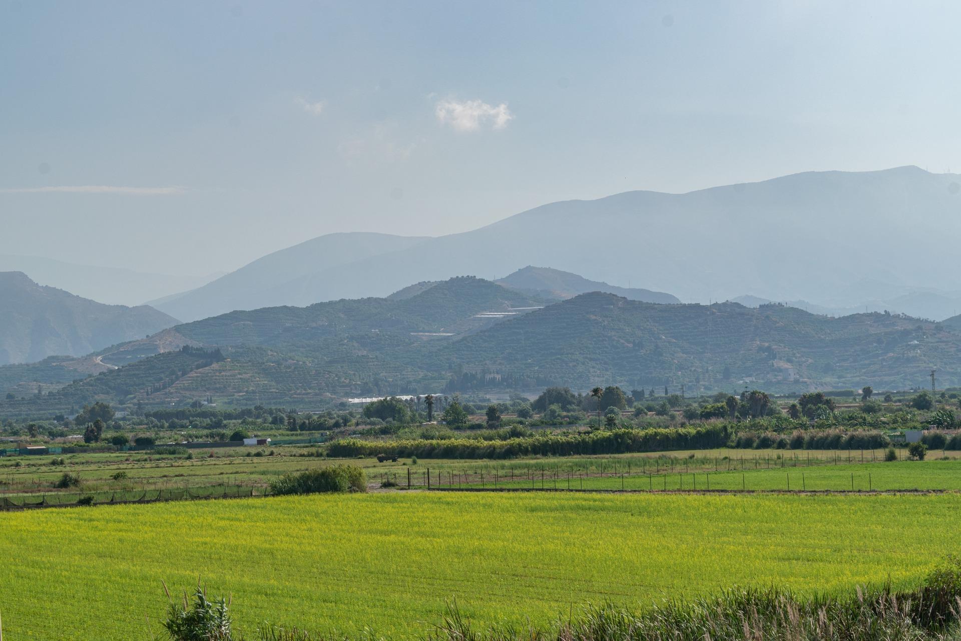 SALOBREÑA-PISO JUNTO A LA PLAYA. TRES DORMITORIOS,DOS BAÑOS  - foto 49