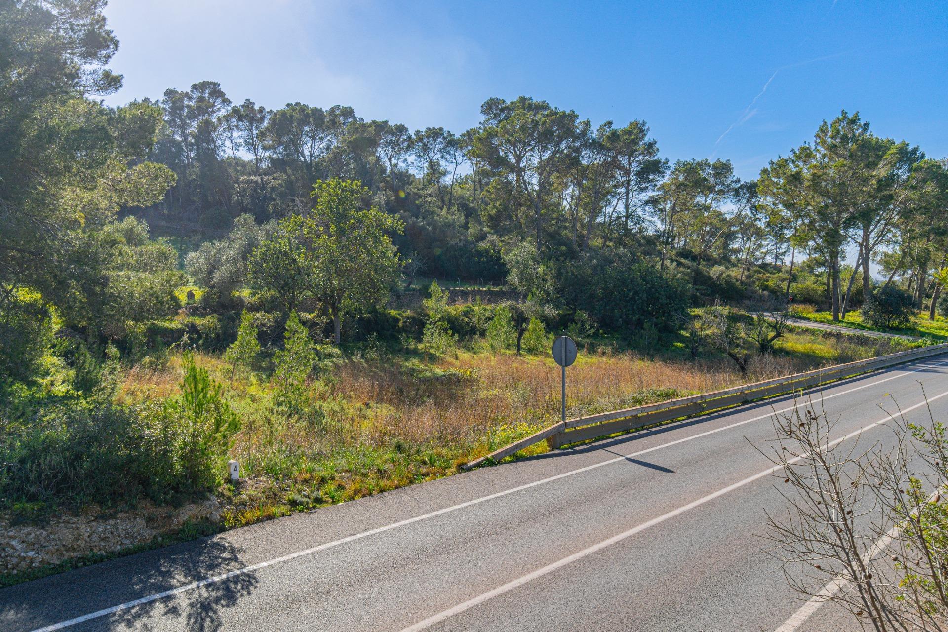 TERRENO RUSTICO URBANIZABLE CON PROYECTO DE construcción. - foto 15