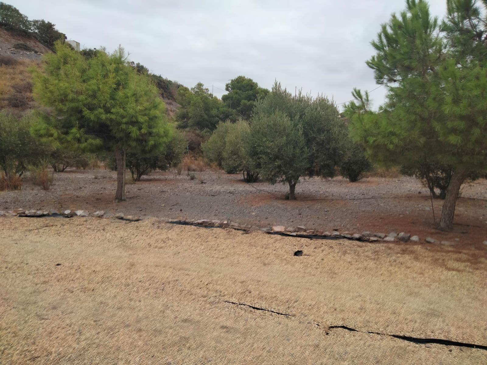 ¡Oasis Rústico en Águilas! - foto 22