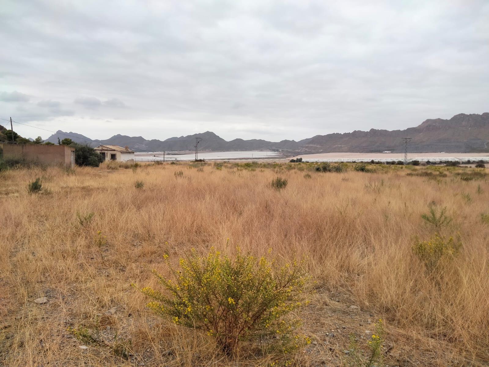 ¡Oasis Rústico en Águilas! - foto 24