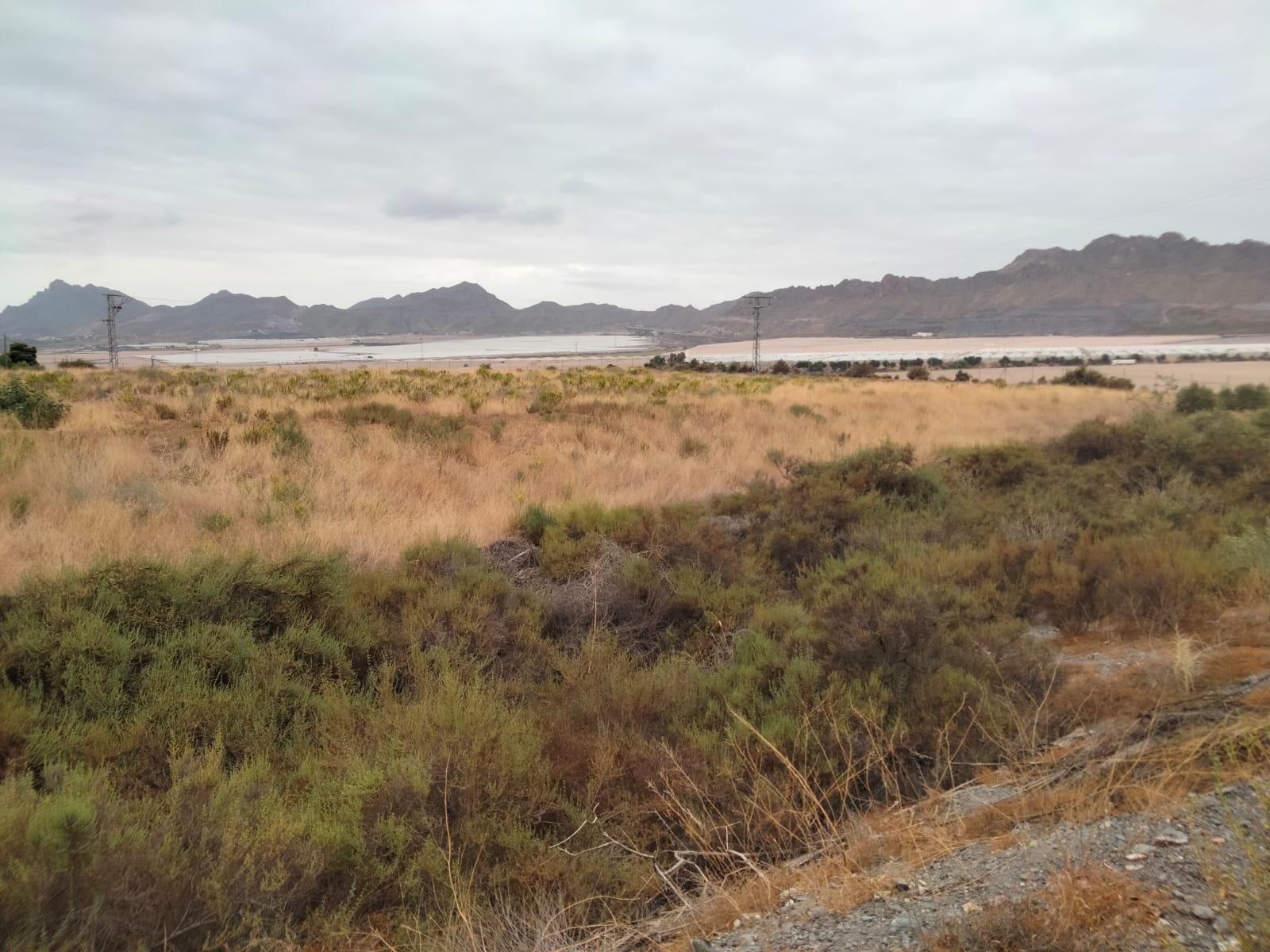 ¡Oasis Rústico en Águilas! - foto 26