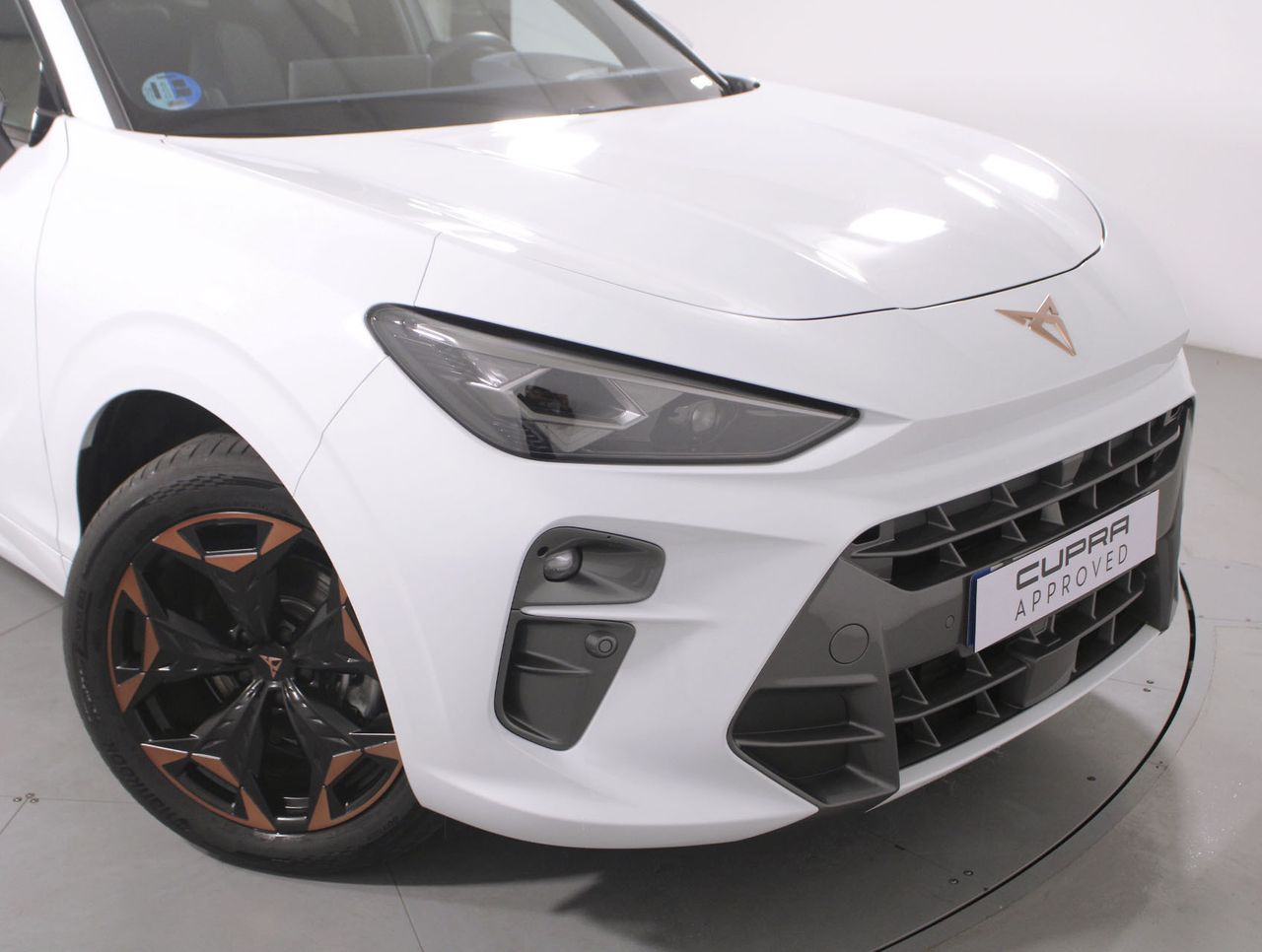 Cupra Terramar 1.5 ETSI MHEV 110KW DSG 5P - foto 16