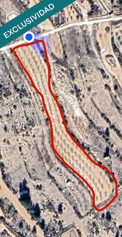 EXCLUSIVA OPORTUNIDAD – PARCELAS RÚSTICAS EN CASAS DE SANCHI - foto 2