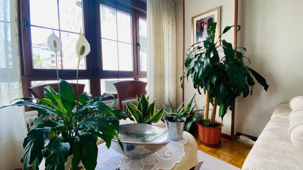 Centro, luz y comodidad con todo a tu alcance - foto 22