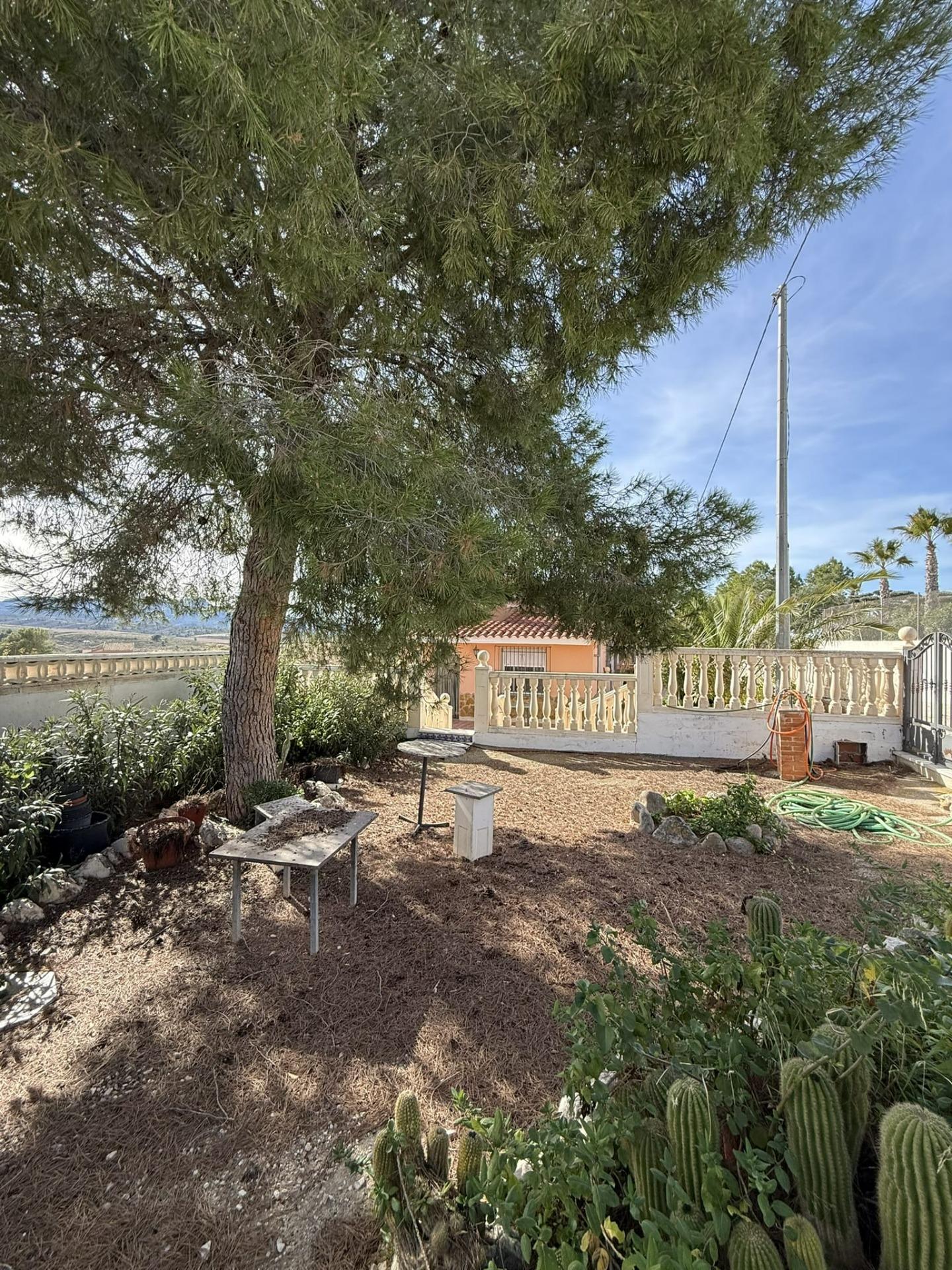 CASA DE CAMPO EN CHAMALETA (JUMILLA) - foto 33