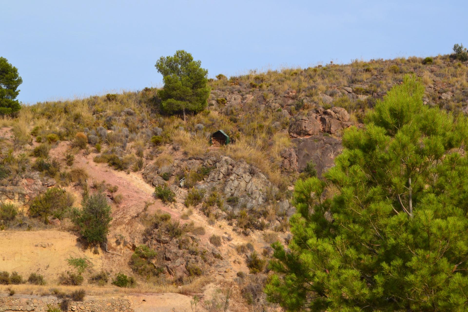 ^^FINCA RÚSTICA DE MÁS DE 2.500.000 M2 EN ALQUILER CON OPCIÓ - foto 4