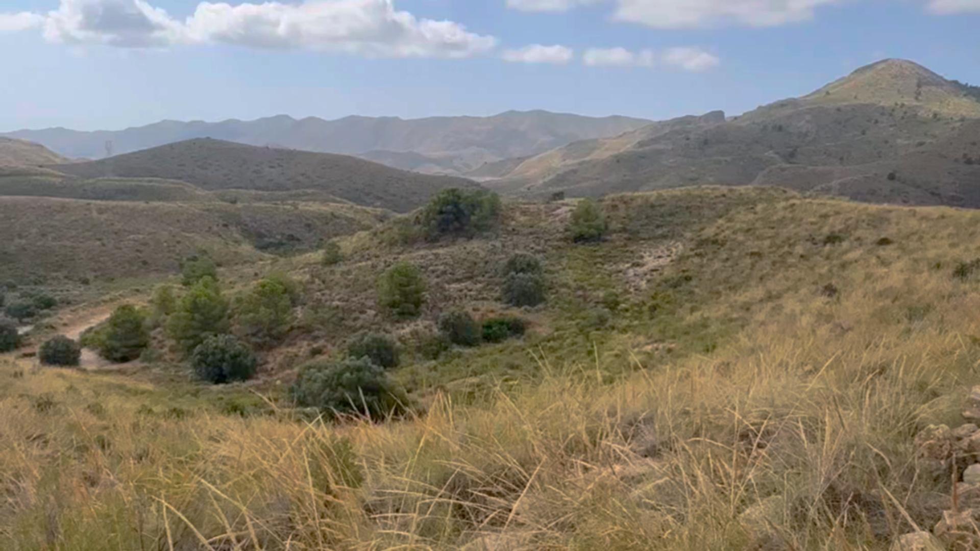 ^^FINCA RÚSTICA DE MÁS DE 2.500.000 M2 EN ALQUILER CON OPCIÓ - foto 10