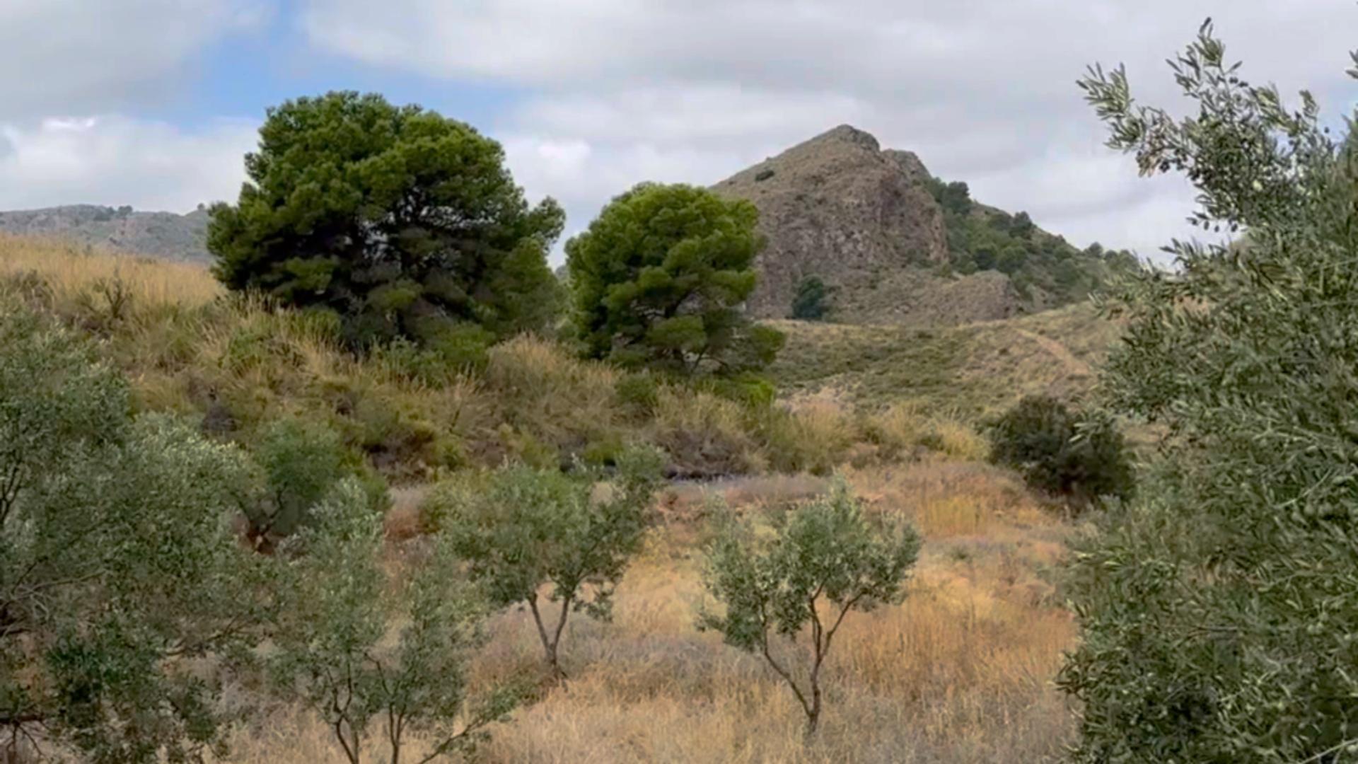 ^^FINCA RÚSTICA DE MÁS DE 2.500.000 M2 EN ALQUILER CON OPCIÓ - foto 17