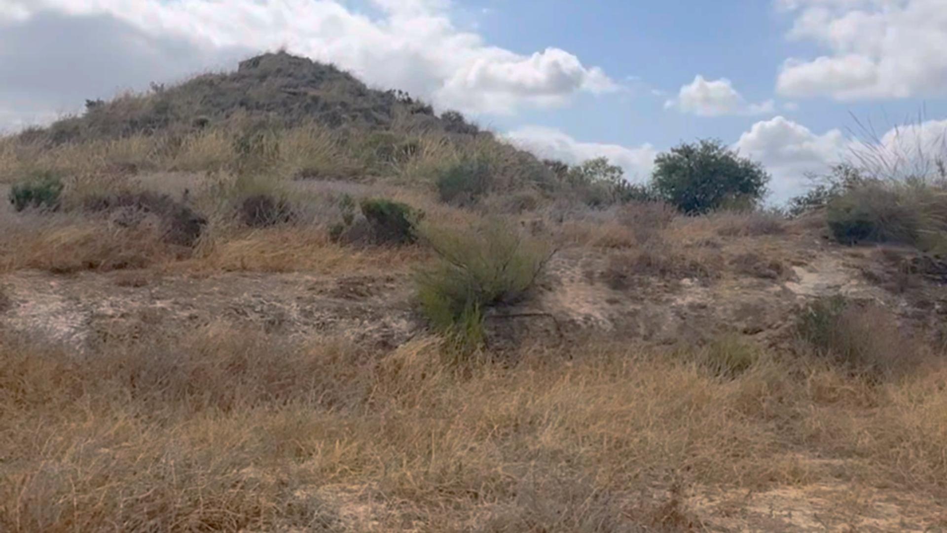 ^^FINCA RÚSTICA DE MÁS DE 2.500.000 M2 EN ALQUILER CON OPCIÓ - foto 22