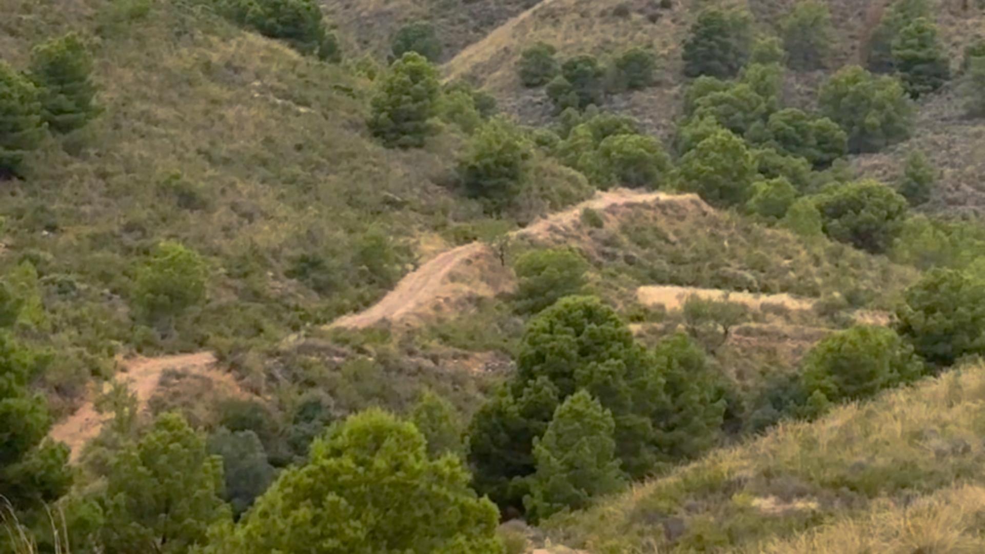 ^^FINCA RÚSTICA DE MÁS DE 2.500.000 M2 EN ALQUILER CON OPCIÓ - foto 27