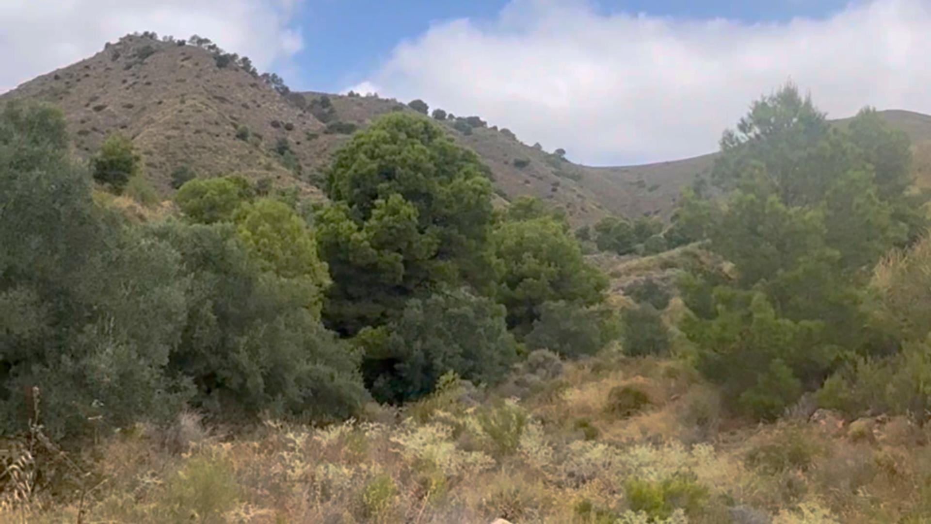 ^^FINCA RÚSTICA DE MÁS DE 2.500.000 M2 EN ALQUILER CON OPCIÓ - foto 33