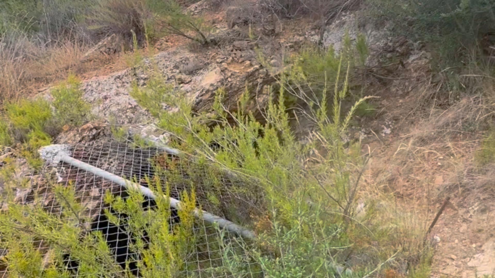 ^^FINCA RÚSTICA DE MÁS DE 2.500.000 M2 EN ALQUILER CON OPCIÓ - foto 39