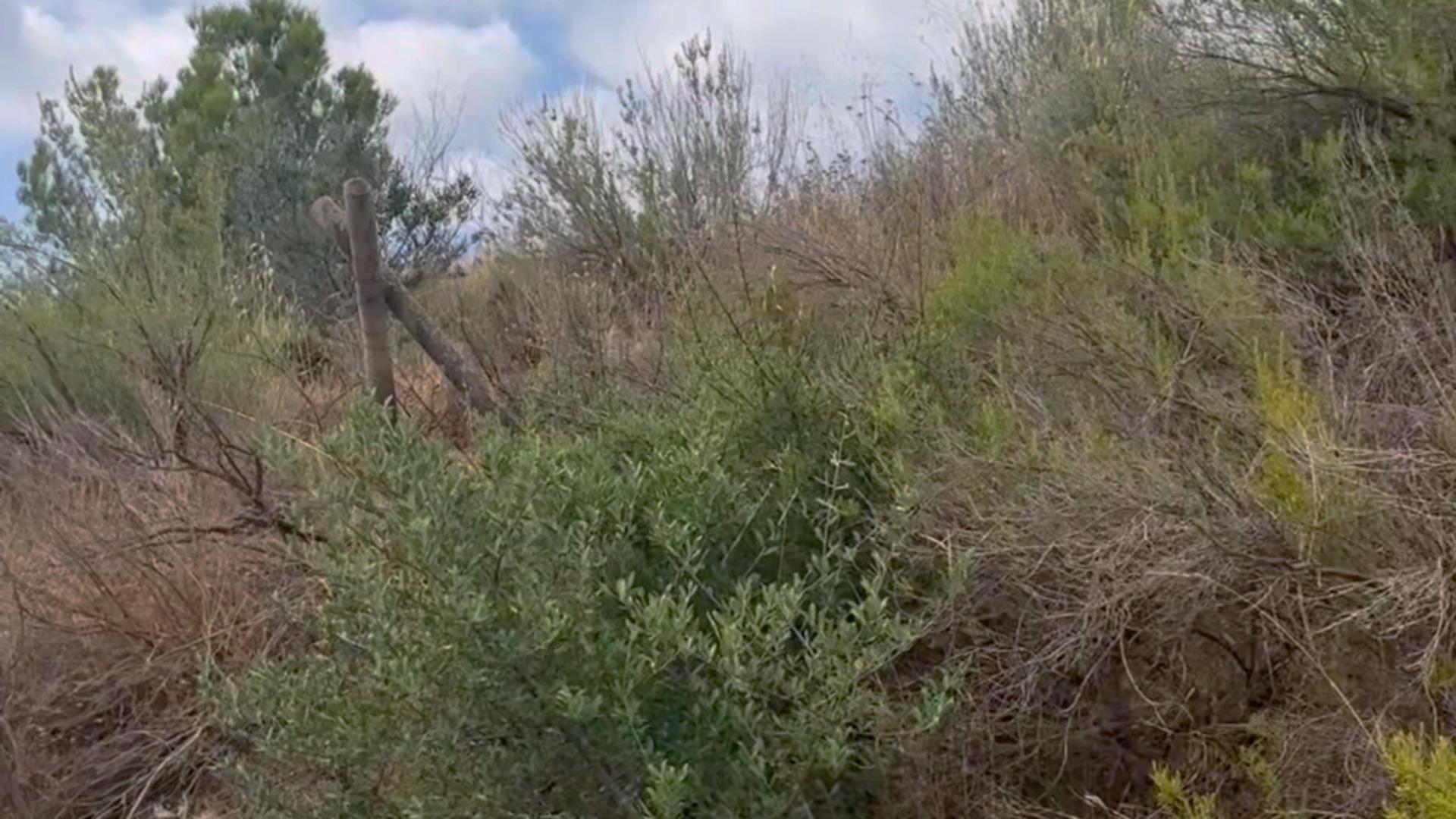 ^^FINCA RÚSTICA DE MÁS DE 2.500.000 M2 EN ALQUILER CON OPCIÓ - foto 41