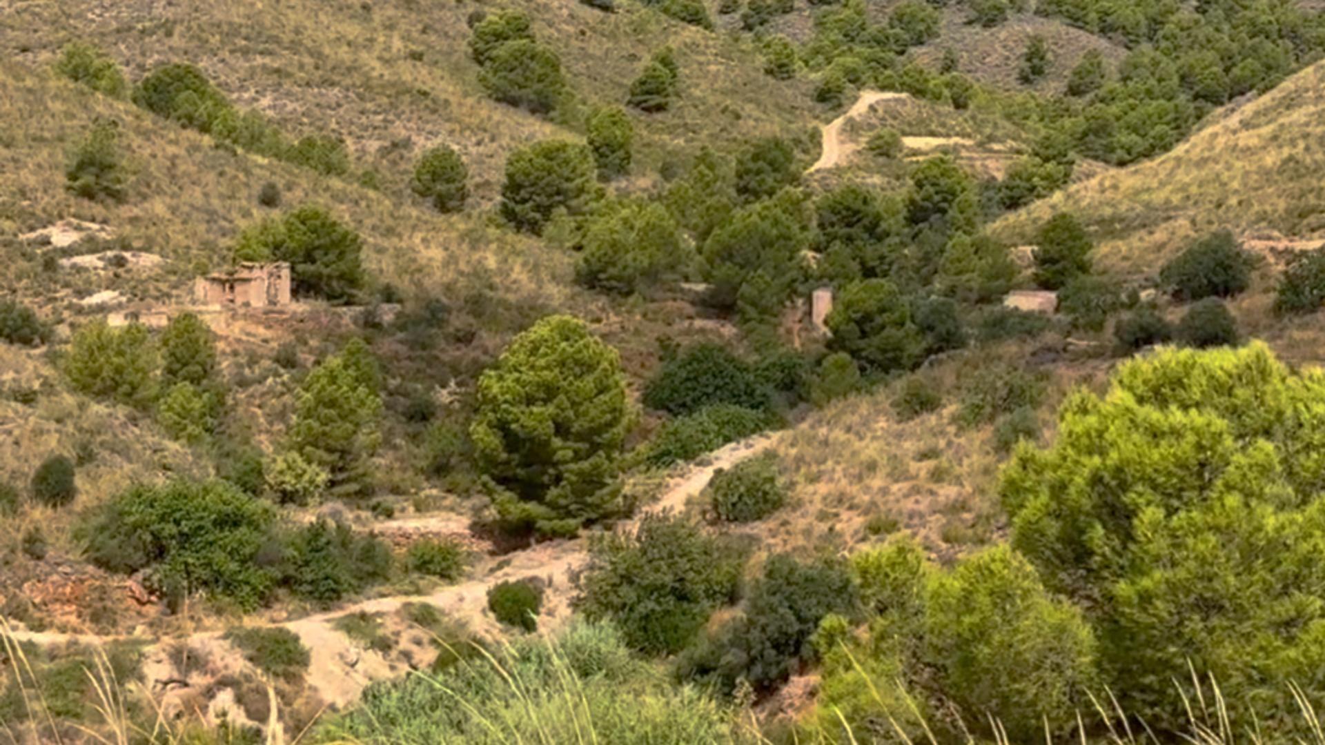 ^^FINCA RÚSTICA DE MÁS DE 2.500.000 M2 EN ALQUILER CON OPCIÓ - foto 43