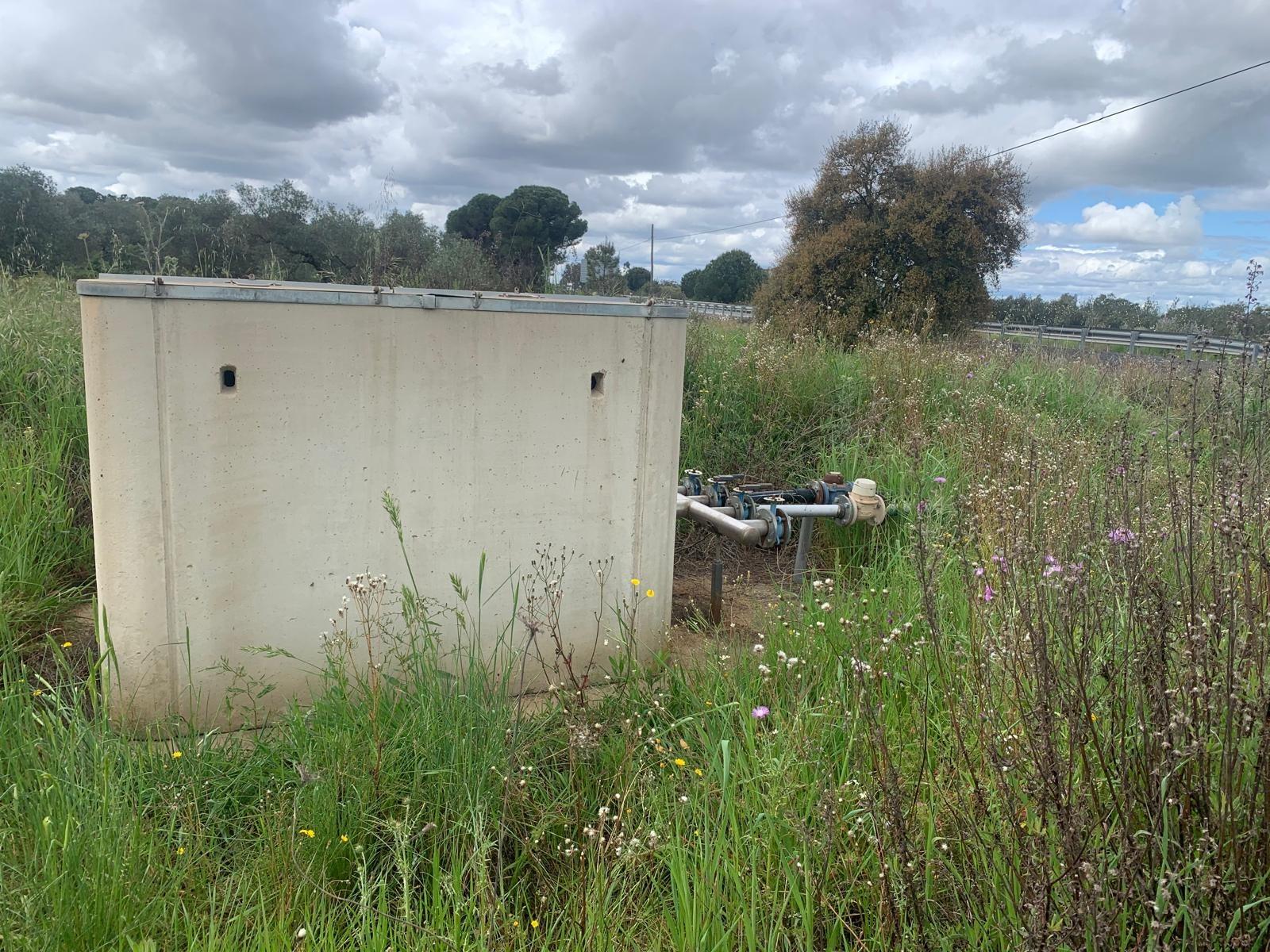 FINCA RÚSTICA LA GITANA EN SAN BARTOLOMÉ DE LA TORRE - foto 3