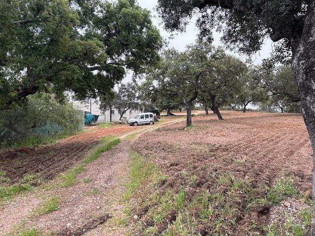 FINCA LA estación EN SAN BARTOLOMÉ DE LA TORRE - foto 3