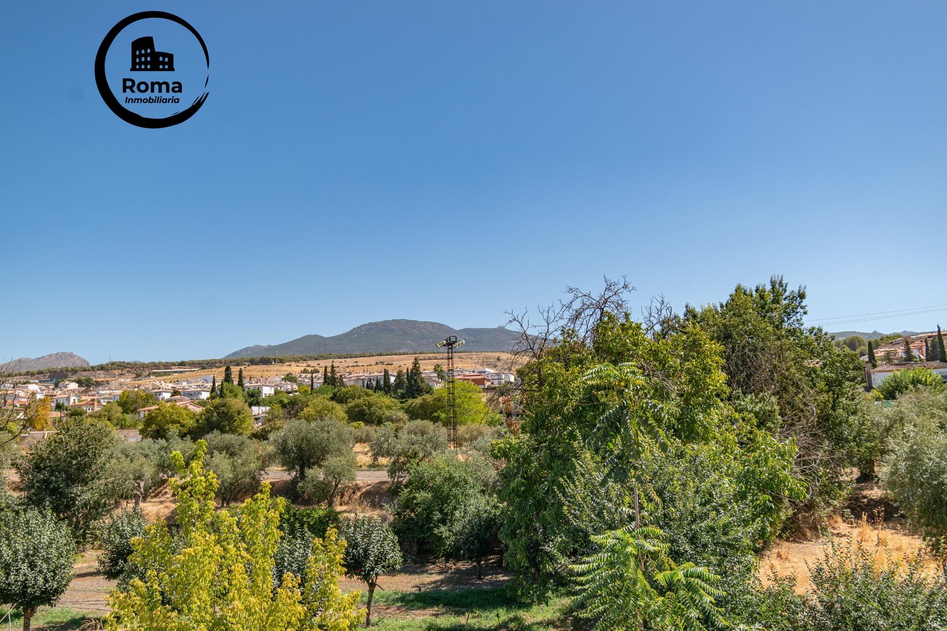 Impresionante Chalet en La Zubia con Piscina y Espacios Ampl - foto 32