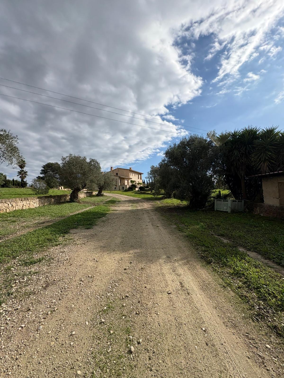 Excepcional Finca Rustica, legal, cedula y CEE, piscina, sau - foto 16